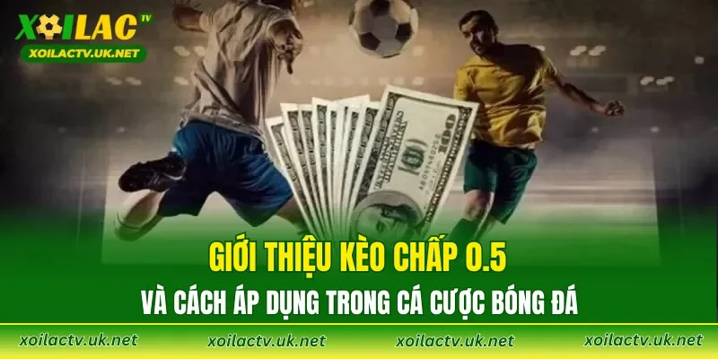 Giới thiệu kèo chấp 0.5 và cách áp dụng trong cá cược bóng đá