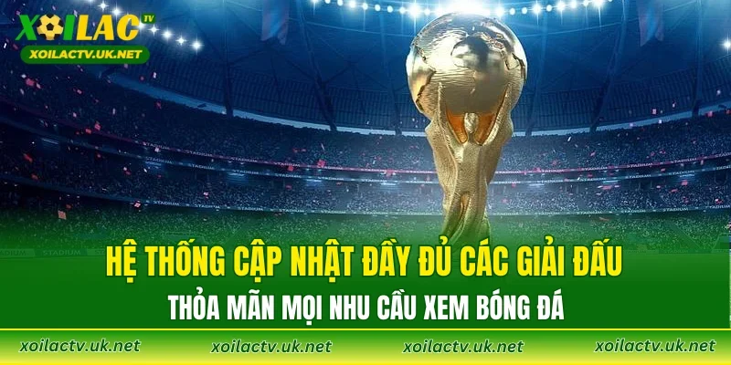 Hệ thống cập nhật đầy đủ các giải đấu, thỏa mãn mọi nhu cầu xem bóng đá