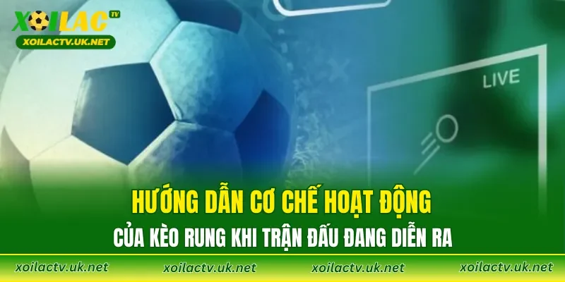 Hướng dẫn cơ chế hoạt động của Kèo Rung khi trận đấu đang diễn ra