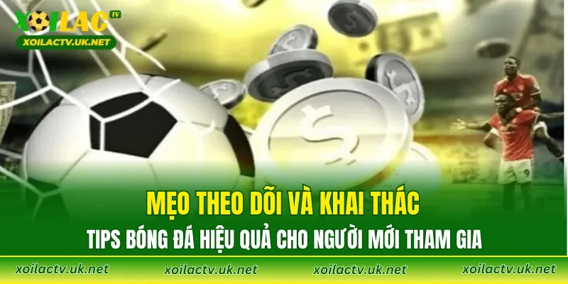 Mẹo theo dõi và khai thác Tips bóng đá hiệu quả cho người mới tham gia