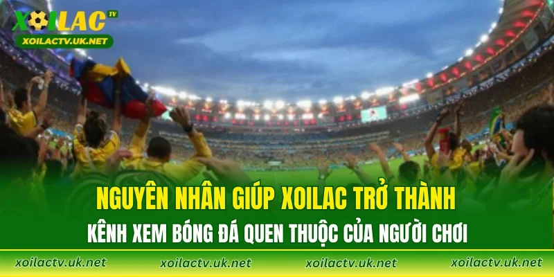 Nguyên nhân giúp XOILAC trở thành kênh xem bóng đá quen thuộc của người chơi