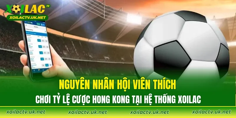 Nguyên nhân hội viên thích chơi tỷ lệ cược Hong Kong tại hệ thống XOILAC