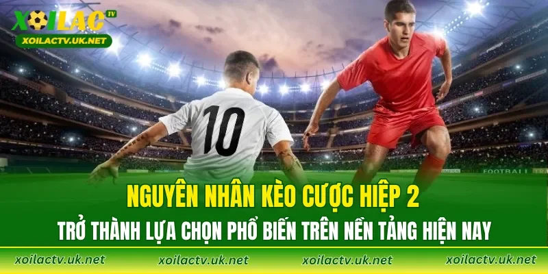 Nguyên nhân kèo cược hiệp 2 trở thành lựa chọn phổ biến trên nền tảng hiện nay