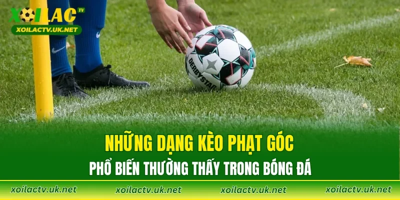 Những dạng kèo phạt góc phổ biến thường thấy trong bóng đá