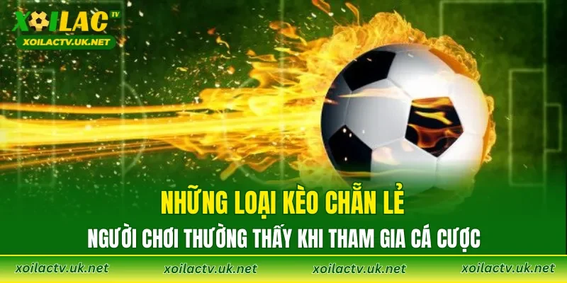 Những loại Kèo Chẵn Lẻ người chơi thường thấy khi tham gia cá cược
