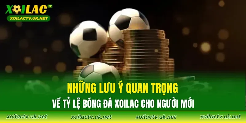 Những lưu ý quan trọng về tỷ lệ bóng đá XOILAC cho người mới