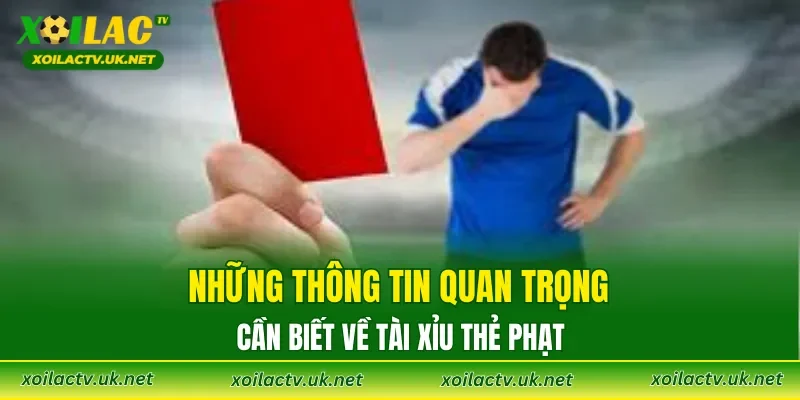 Những thông tin quan trọng cần biết về tài xỉu thẻ phạt