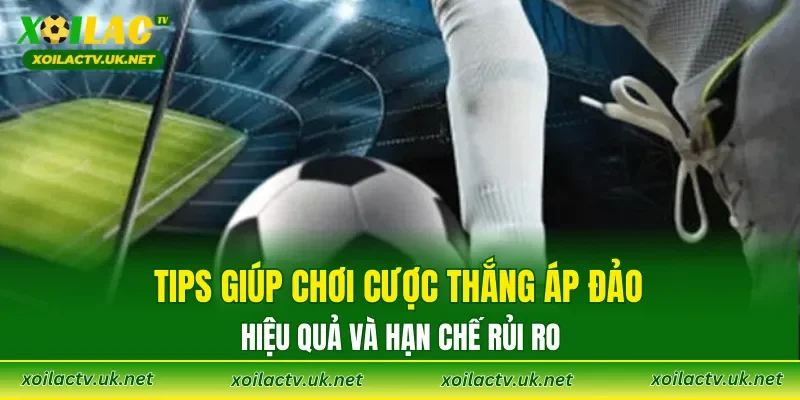 Tips giúp chơi cược thắng áp đảo hiệu quả và hạn chế rủi ro
