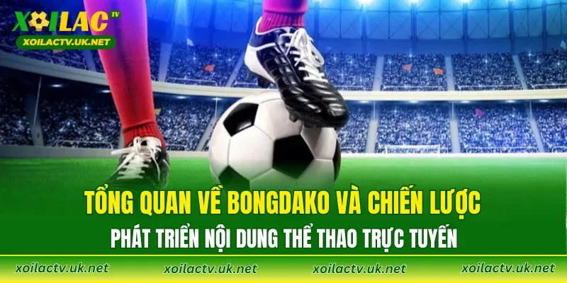 Tổng quan về Bongdako và chiến lược phát triển nội dung thể thao trực tuyến