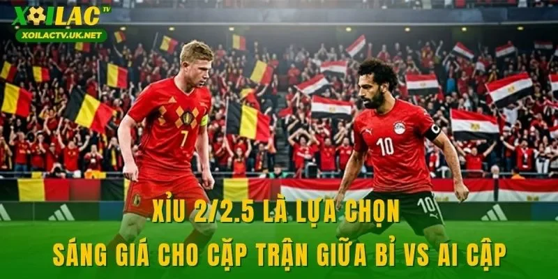 Xỉu 2/2.5 là lựa chọn sáng giá cho cặp trận giữa Bỉ vs Ai Cập
